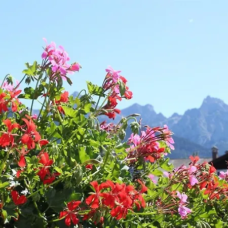 Gaestehaus Haller * Krun